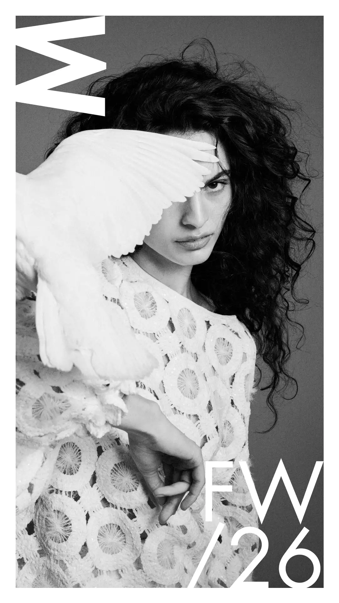 EVOL MGMT Veja a imagem IMG 4190