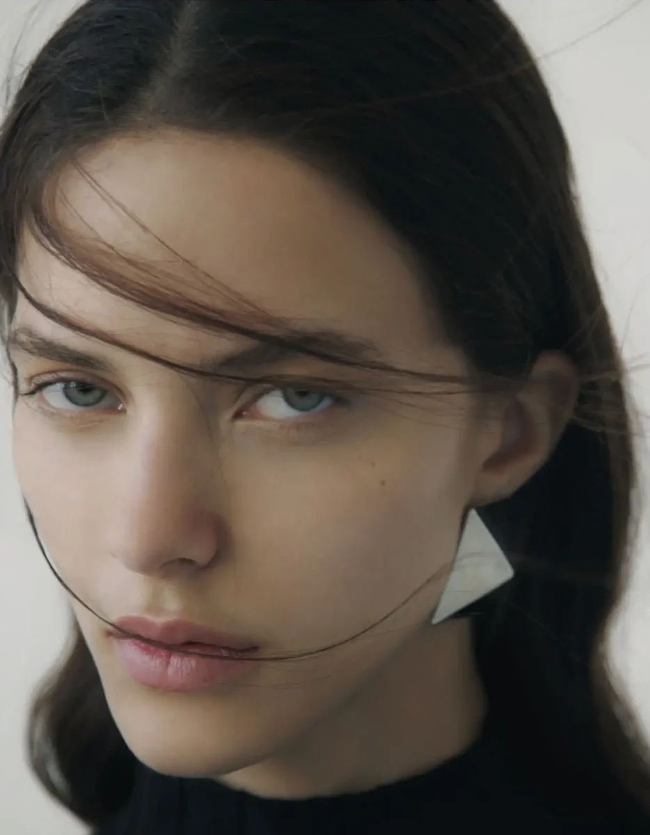 Veja a imagem image 001 e1769387129806