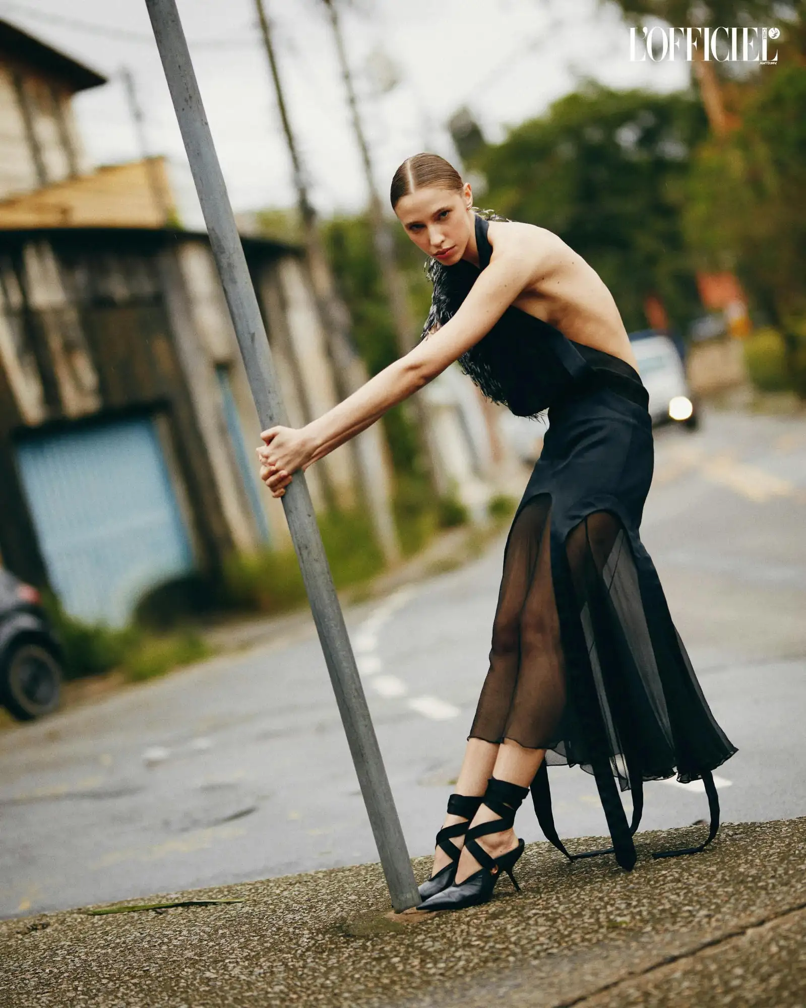 imgi_13_1768874252-129