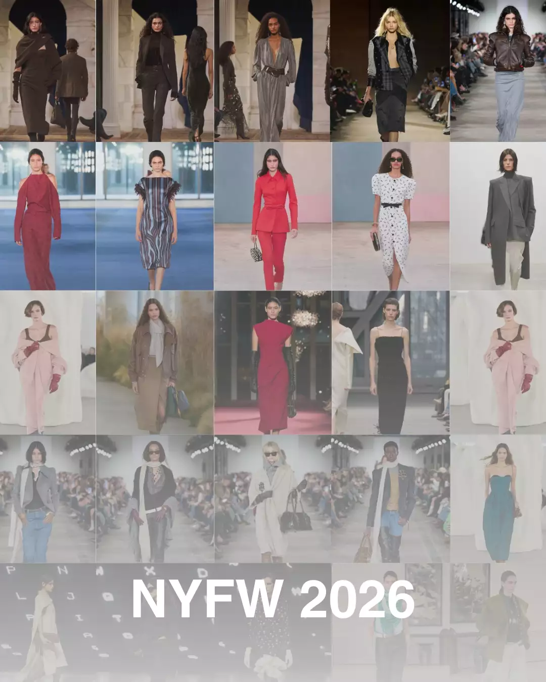 EVOL MGMT Veja a imagem LUIZA PEROTE 31