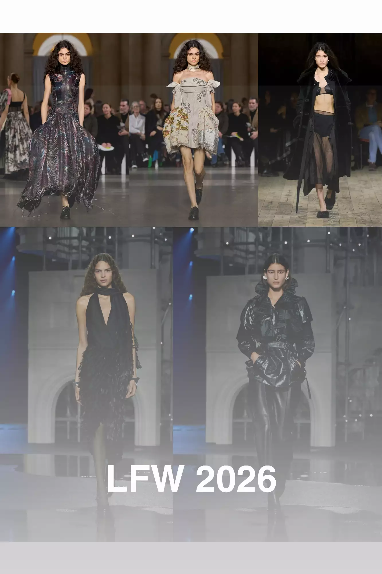 EVOL MGMT Veja a imagem Site 9