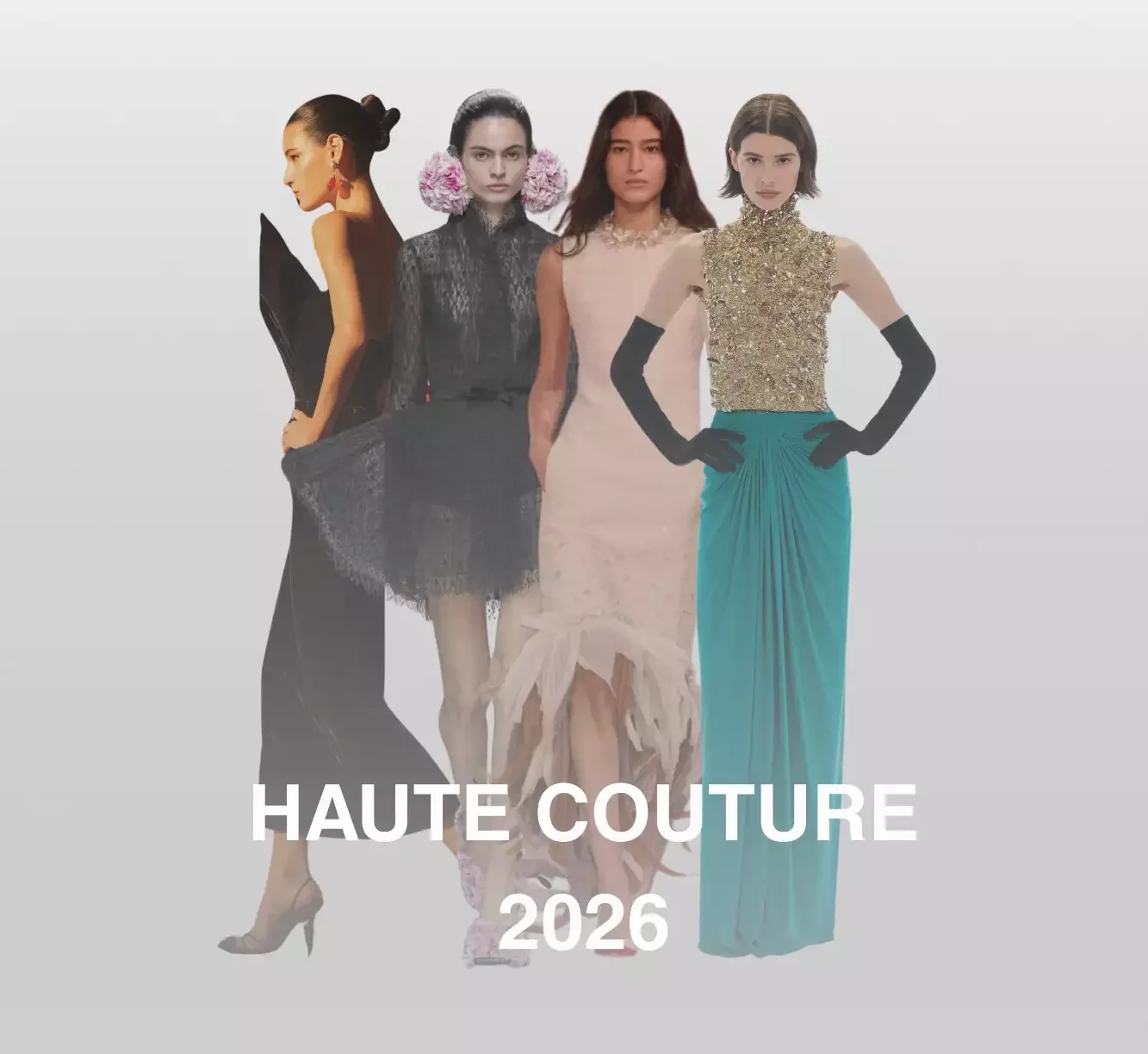 EVOL MGMT Veja a imagem Site e1771555024609