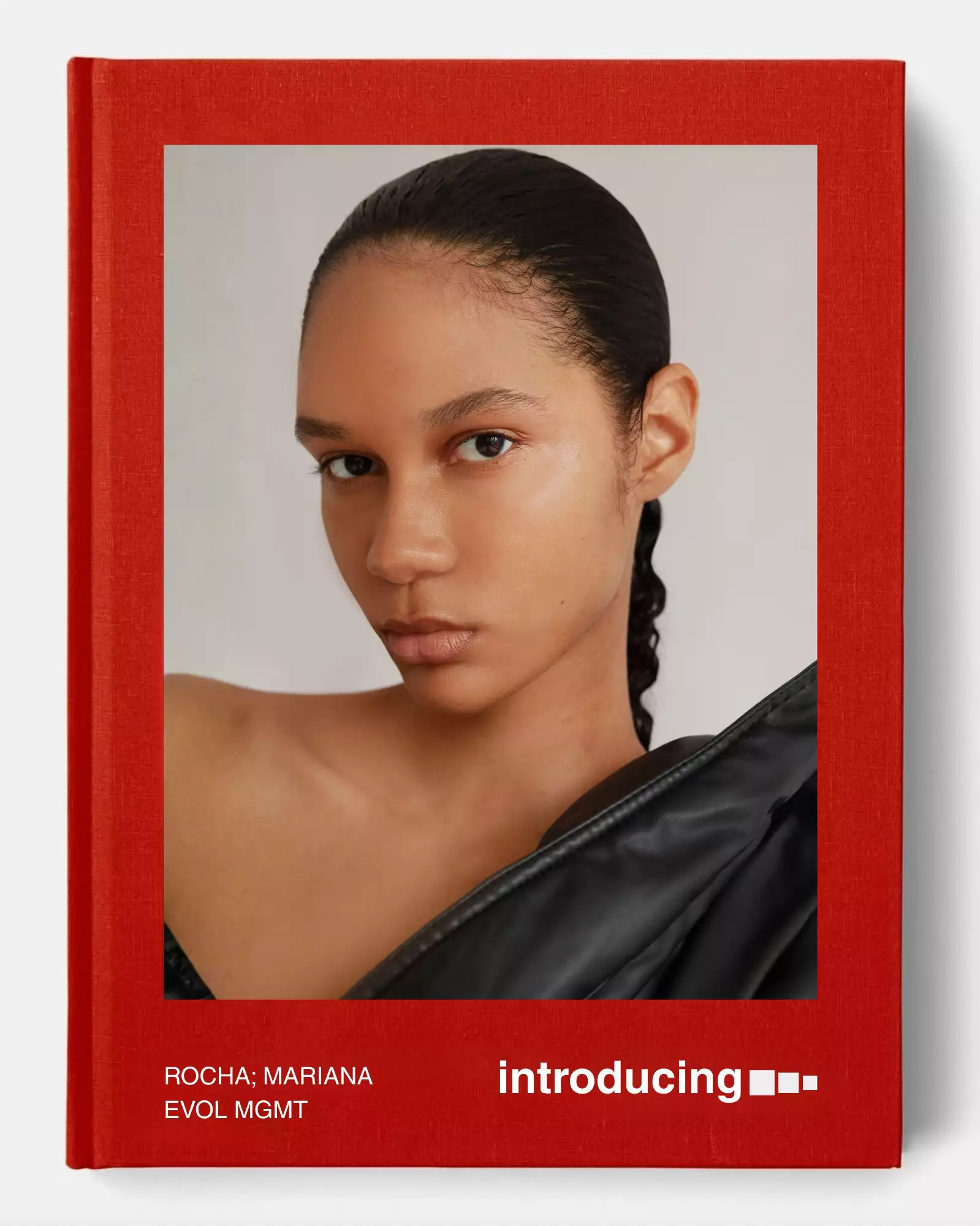 Veja a imagem Cópia de INTRODUCING EVOL 1 1